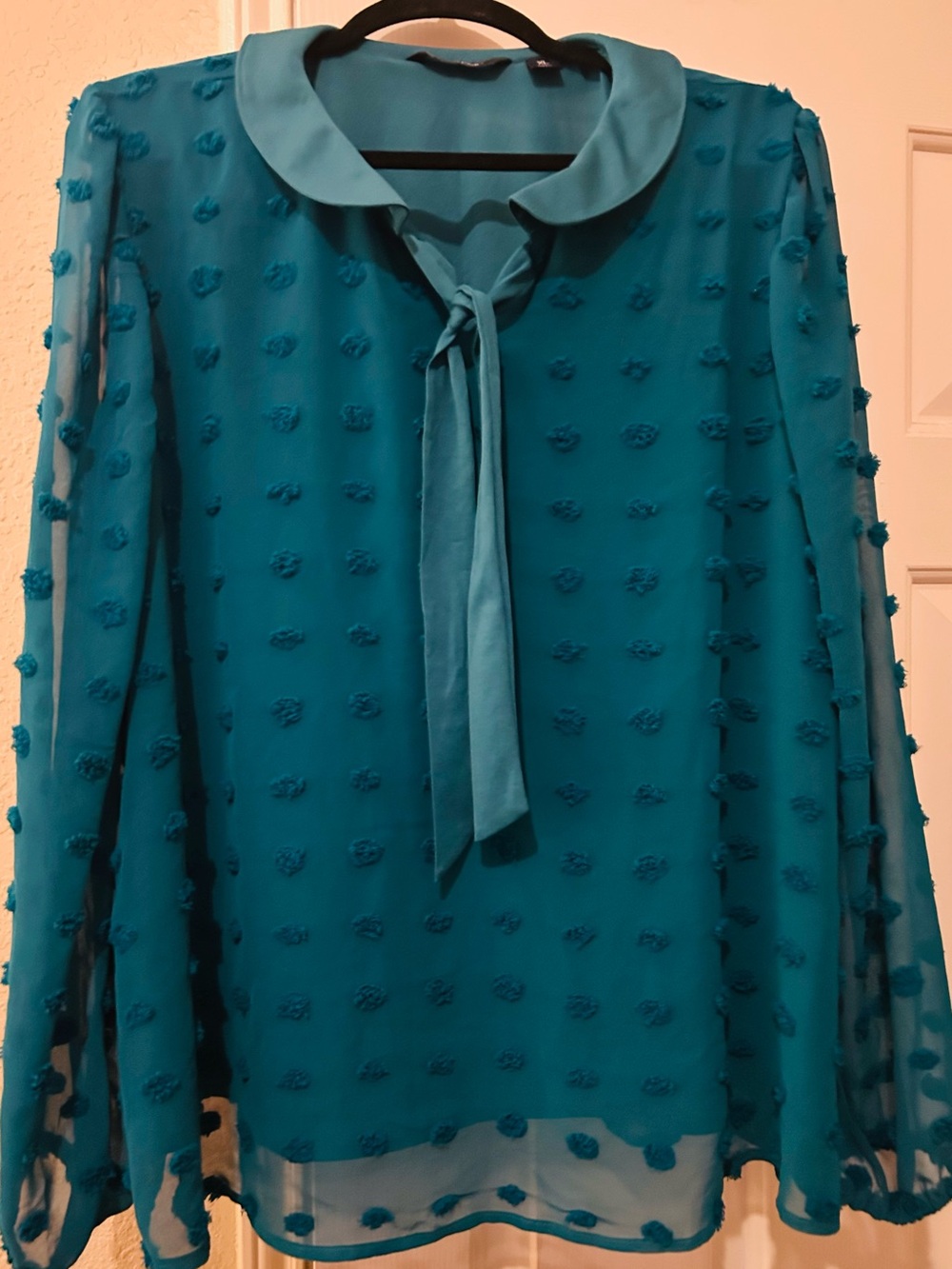 Teal Swiss Dot Tie-Neck Blouse